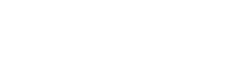 Felix Logo weiß