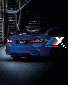 FELIX Logo mit M4 Voodoo