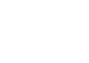 Performance Schriftzug transparent
