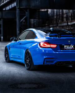 Voodoo M4 Felix Performance